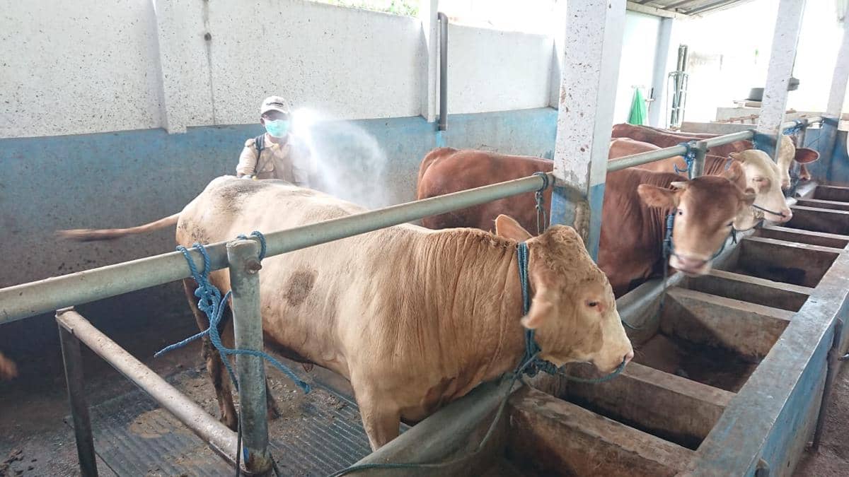 WhatsApp Image 2025-01-03 at 15.01.46.jpeg