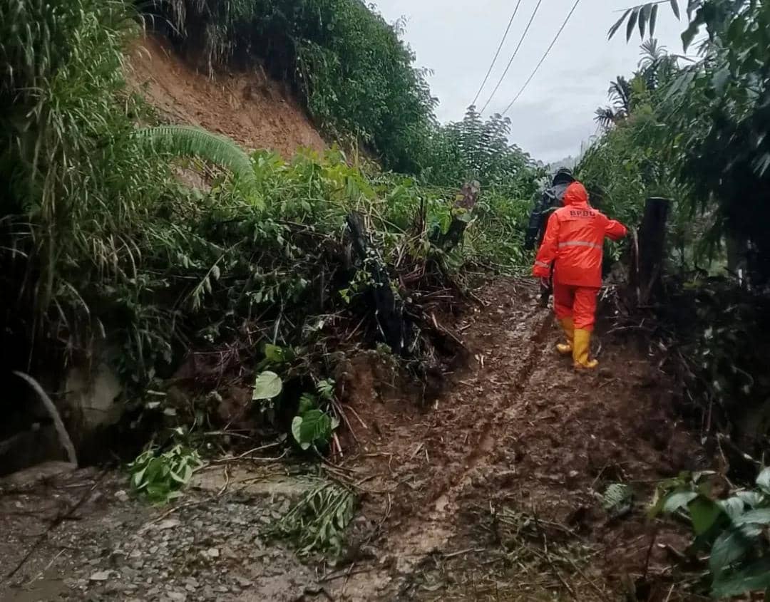 Kondisi longsor di Kabupaten OKU Selatan.