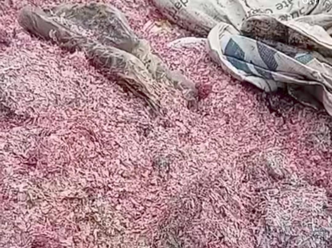 Cacahan uang asli ditemukan di TPS Liar, Kabupaten Bekasi. 