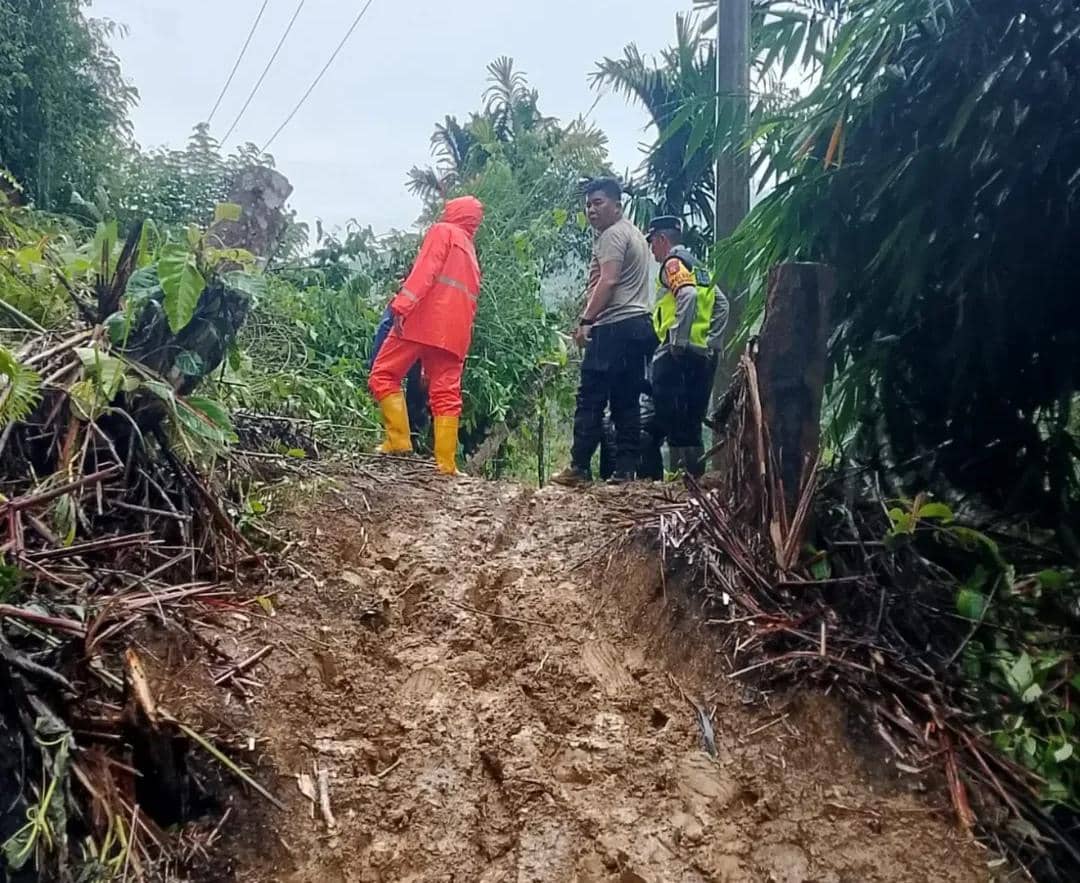 Kondisi longsor di Kabupaten OKU Selatan.