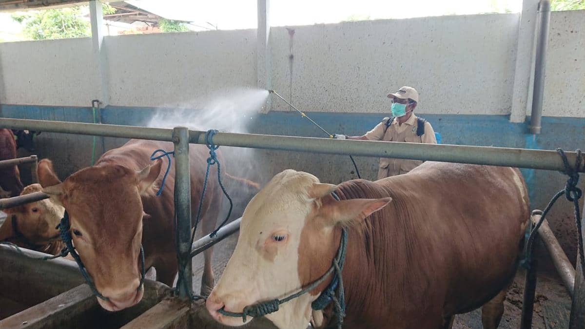 WhatsApp Image 2025-01-03 at 15.01.46 (1).jpeg