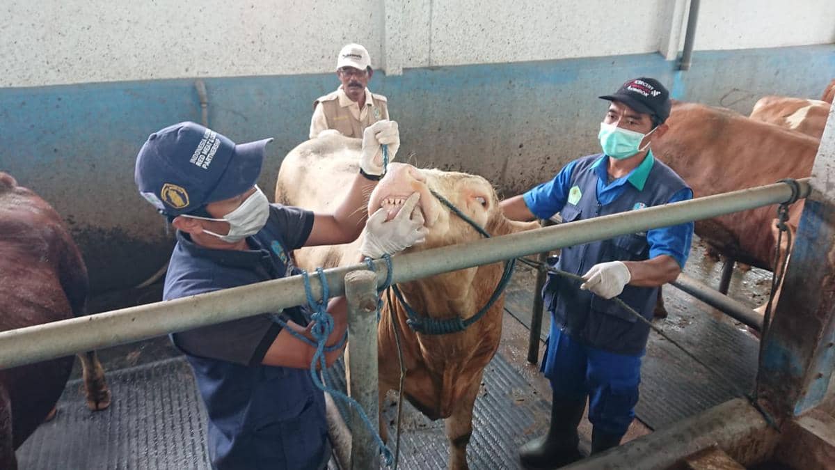 WhatsApp Image 2025-01-03 at 15.01.47.jpeg