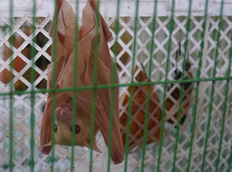 WhatsApp Image 2026-02-01 at 11.21.24 (1).jpeg