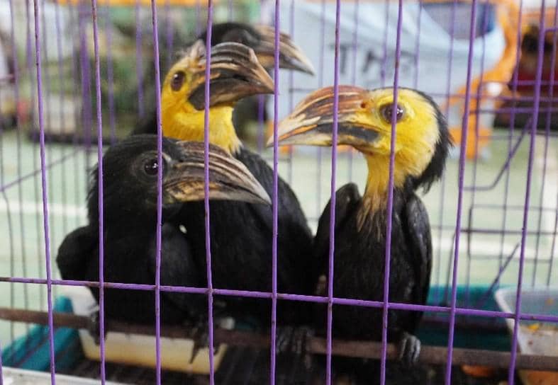 WhatsApp Image 2026-02-01 at 11.21.25 (1).jpeg