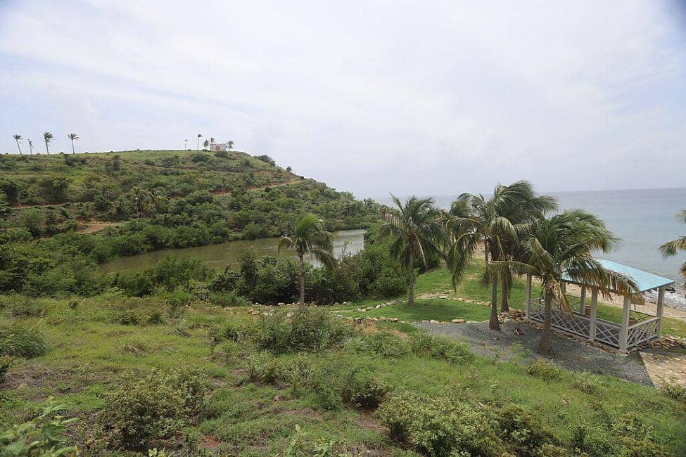 Alam tropis di Pulau Little St. James