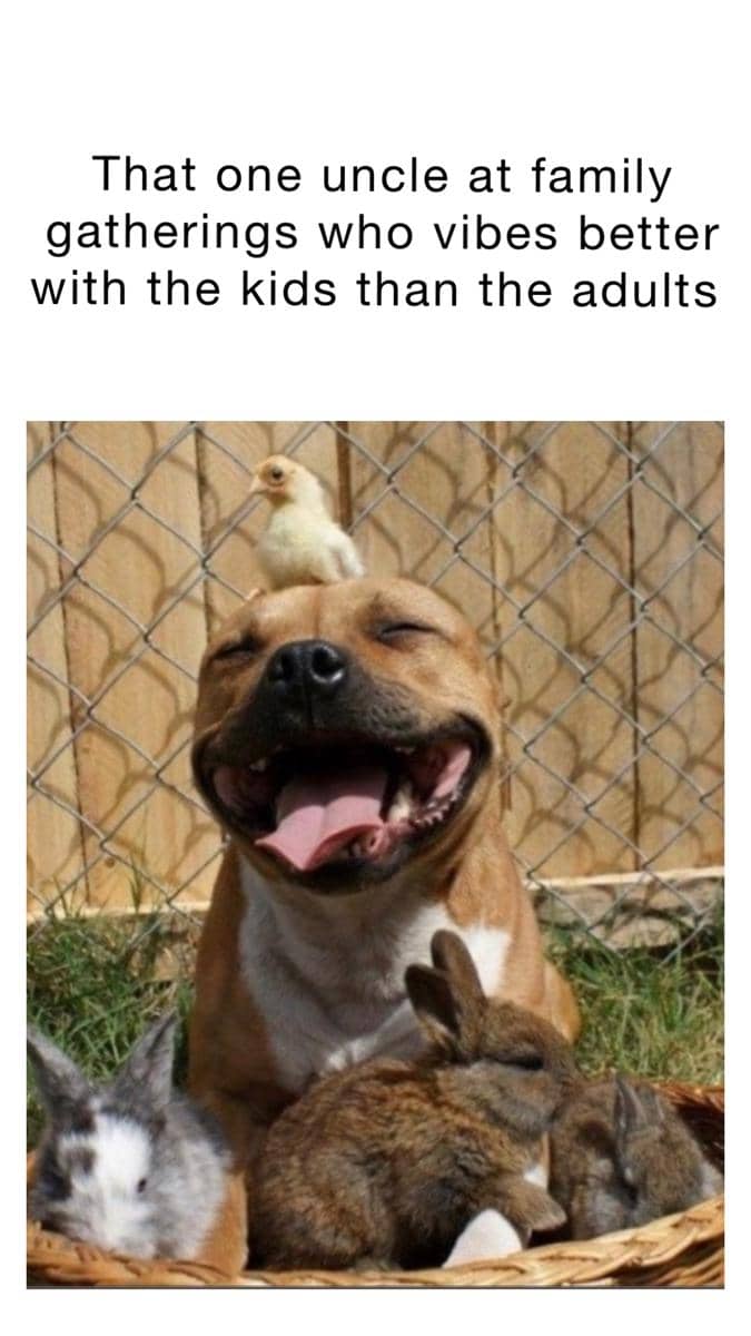 meme paman saat acara kumpul keluarga