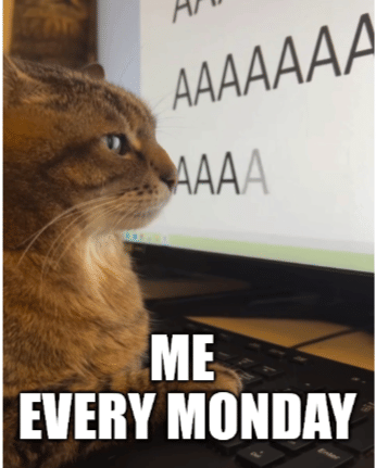 meme kucing tentang kantor