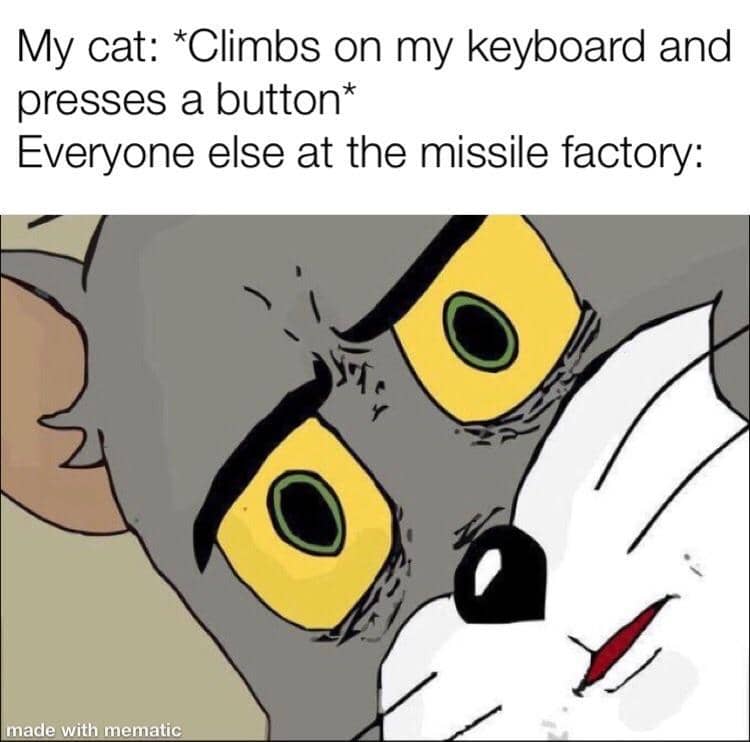 meme kucing tentang kantor