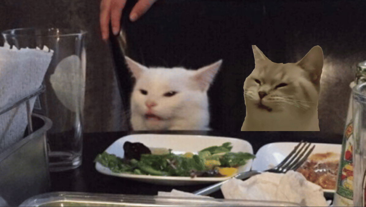 meme kucing lagi pacaran