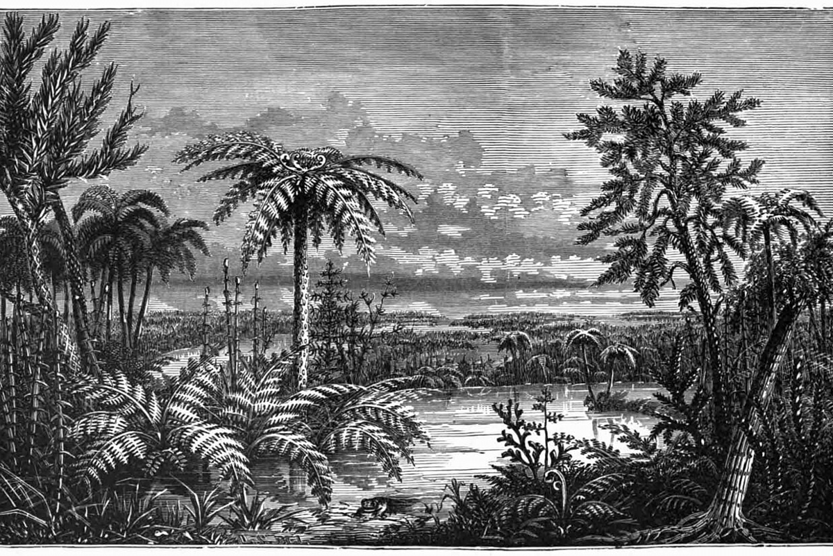 ilustrasi periode karbon