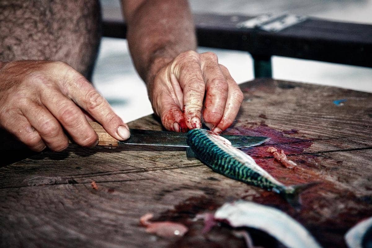 ilustrasi seseorang sedang memotong ikan 