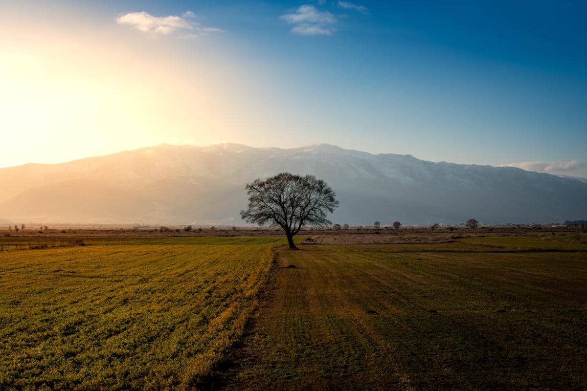 Ilustrasi lapangan dan gunung