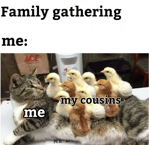 meme anak pas acara keluarga