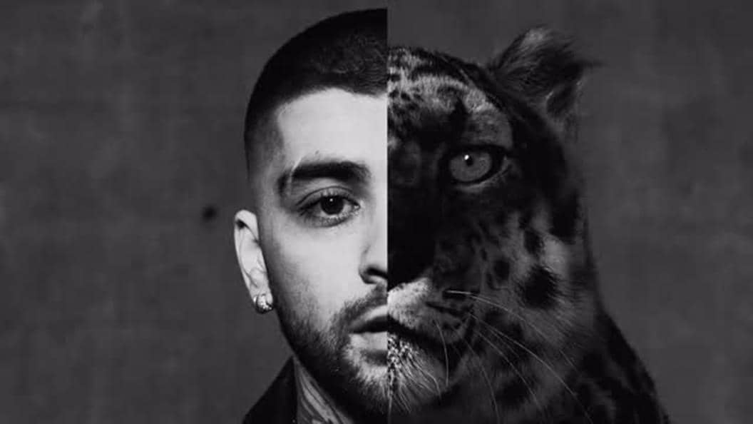 Zayn membagikan sampul visual setengah macan di Instagram-nya.jpg