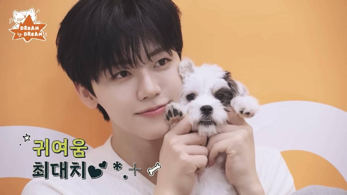 Jeno dan Jaemin main dan urus anak anjing