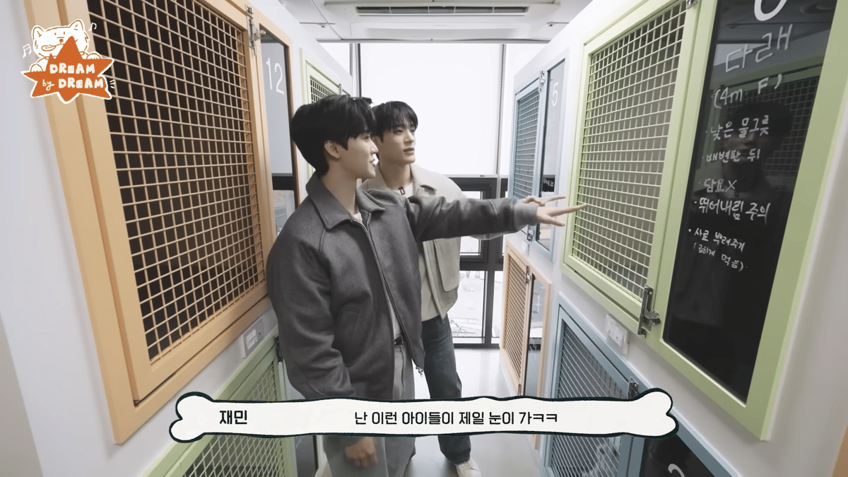 Jeno dan Jaemin main dan urus anak anjing