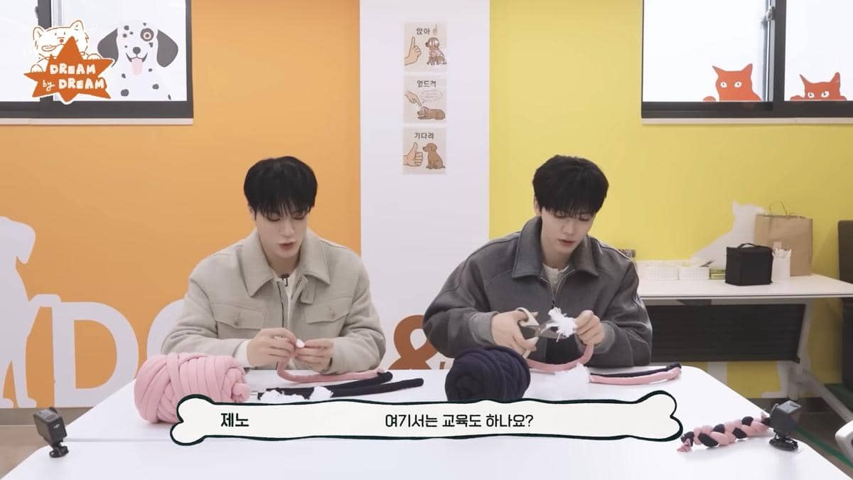 Jeno dan Jaemin main dan urus anak anjing