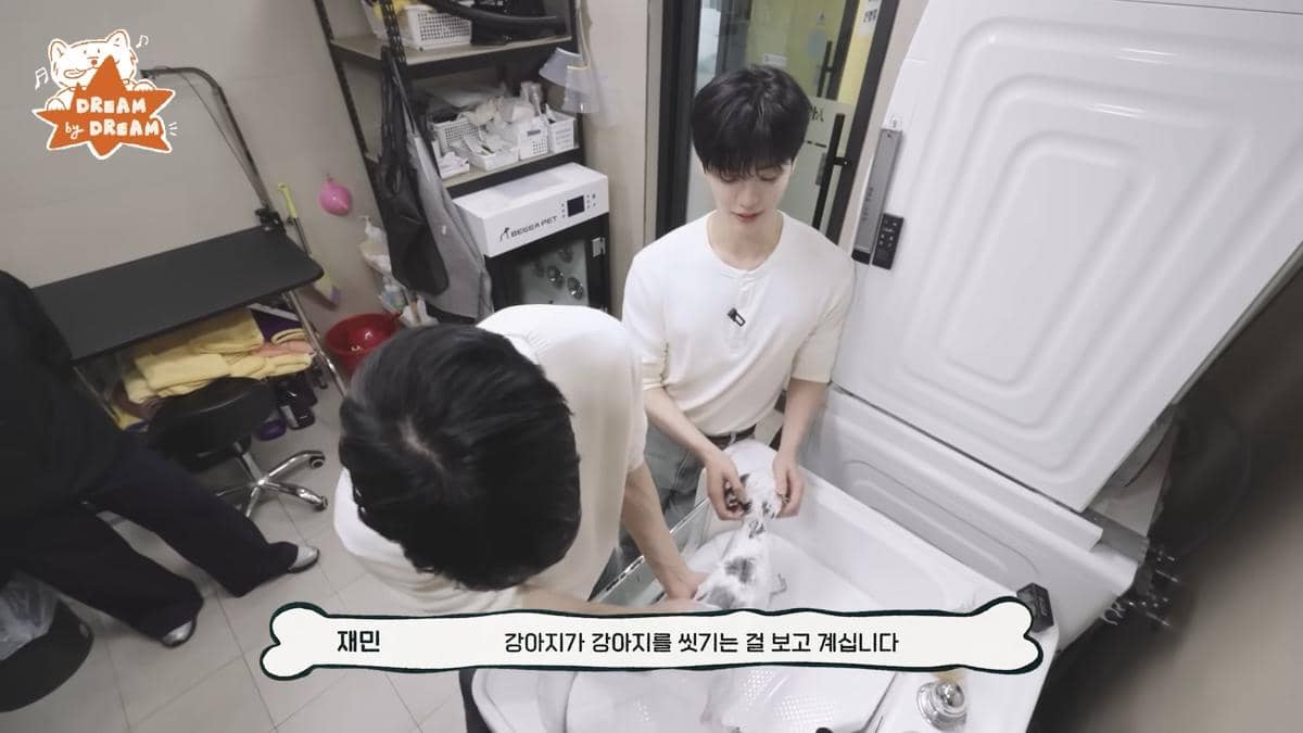 Jeno dan Jaemin main dan urus anak anjing