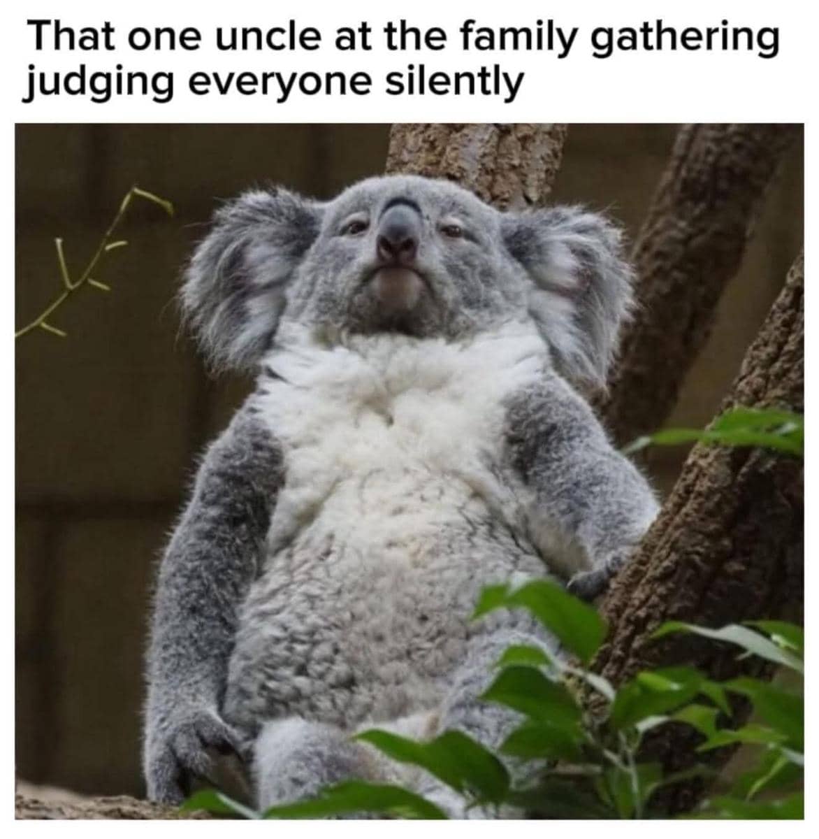 meme paman saat acara kumpul keluarga