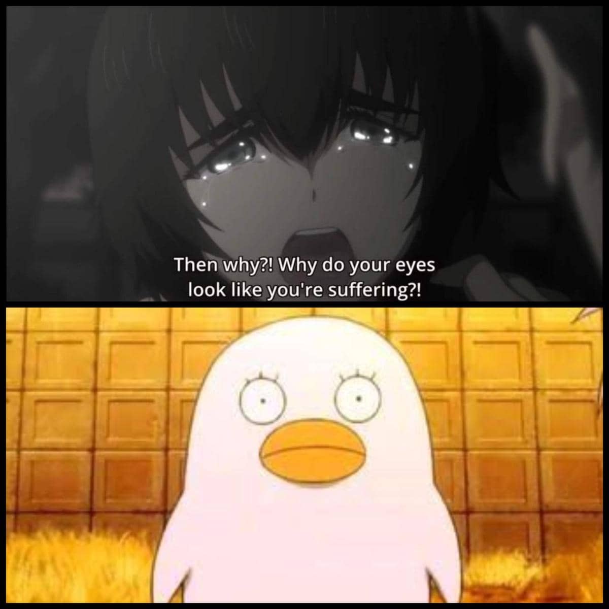 meme anime tentang penguin