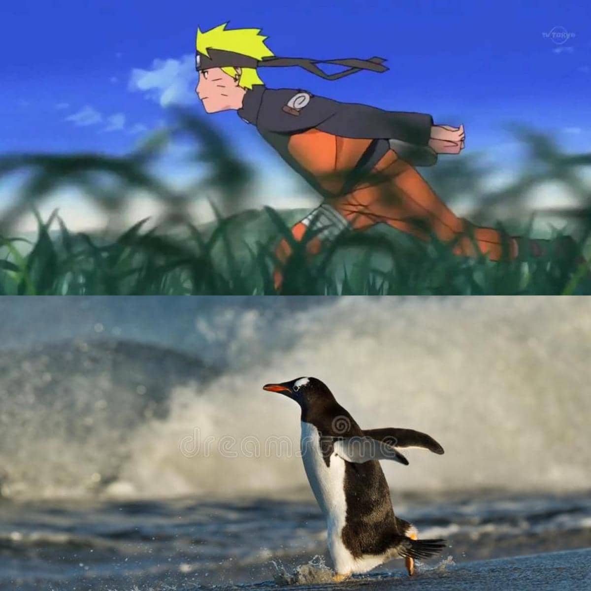 meme anime tentang penguin