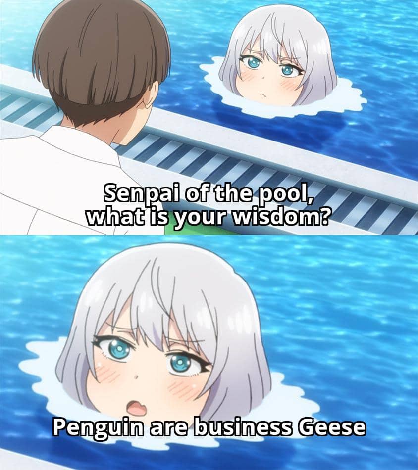 meme anime tentang penguin