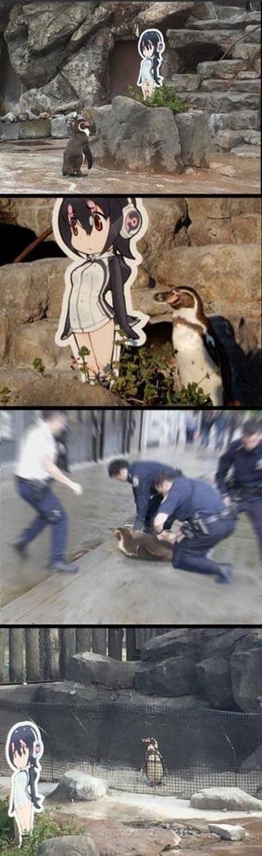 meme anime tentang penguin