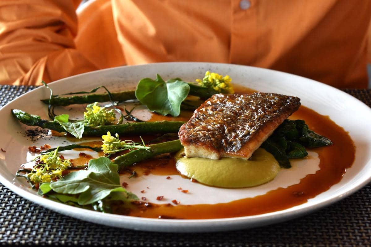 ilustrasi sea bass dengan tomat semi dried dan basil oil