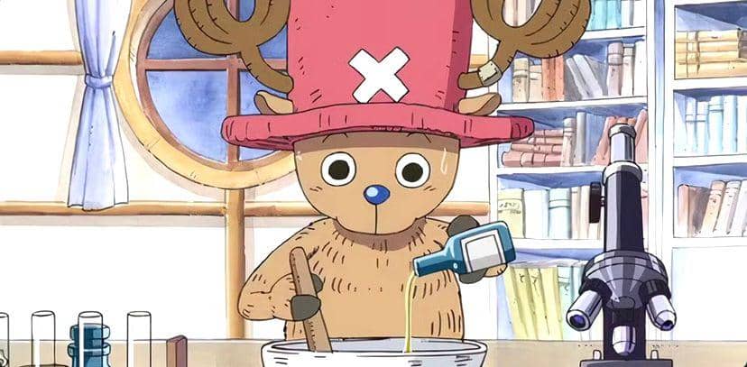 Tomi-Tomi Chopper One Piece