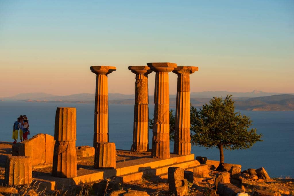 WhatsApp Image 2026-02-05 at 14.58.15e4.jpeg