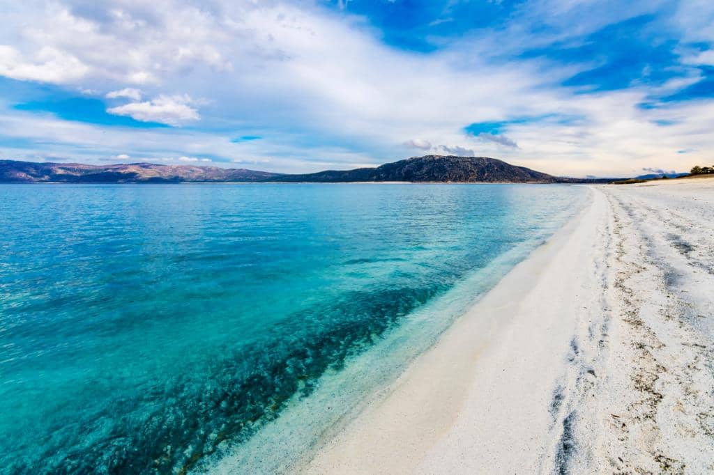 WhatsApp Image 2026-02-05 at 14.58.141.jpeg