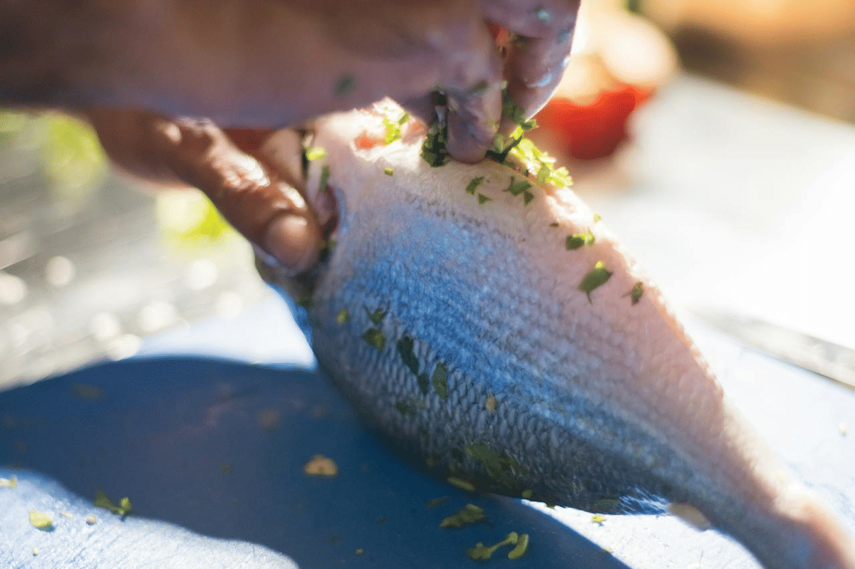 ilustrasi membuat ikan fillet merah isi ratatouille