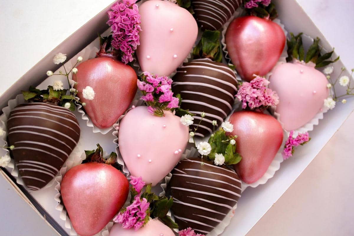 ilustrasi stroberi cokelat valentine