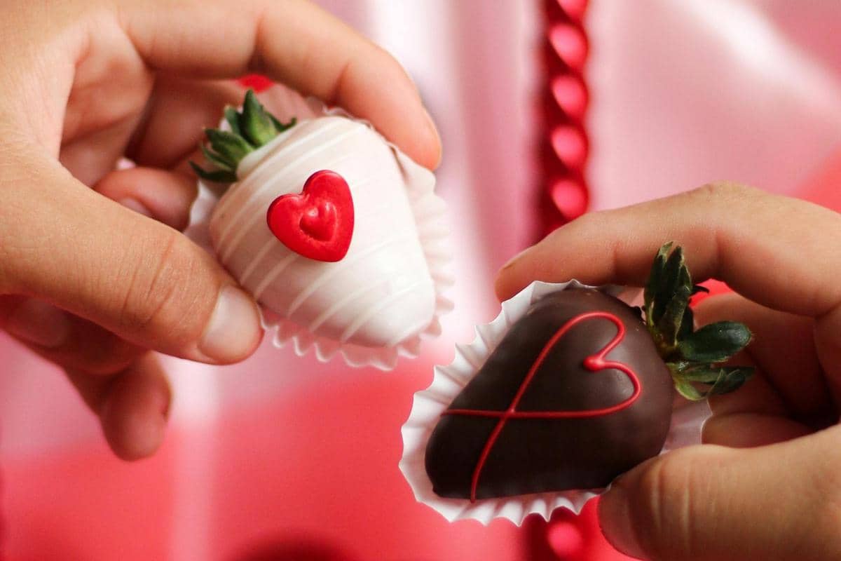 ilustrasi stroberi cokelat valentine