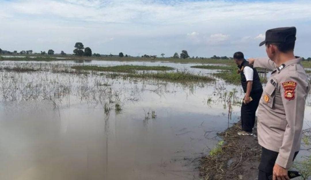 Lokasi penemuan mayat perempuan di areal persawahan Desa Penyandingan OKI. (Dok. Polsek Sirah Pulau Padang)