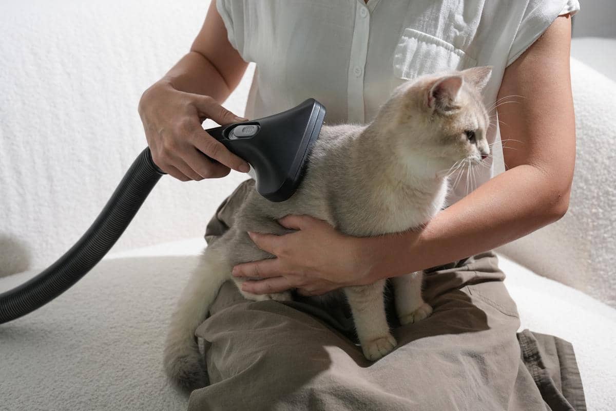 Acerpure Clean V2 - Pet Brush.jpg