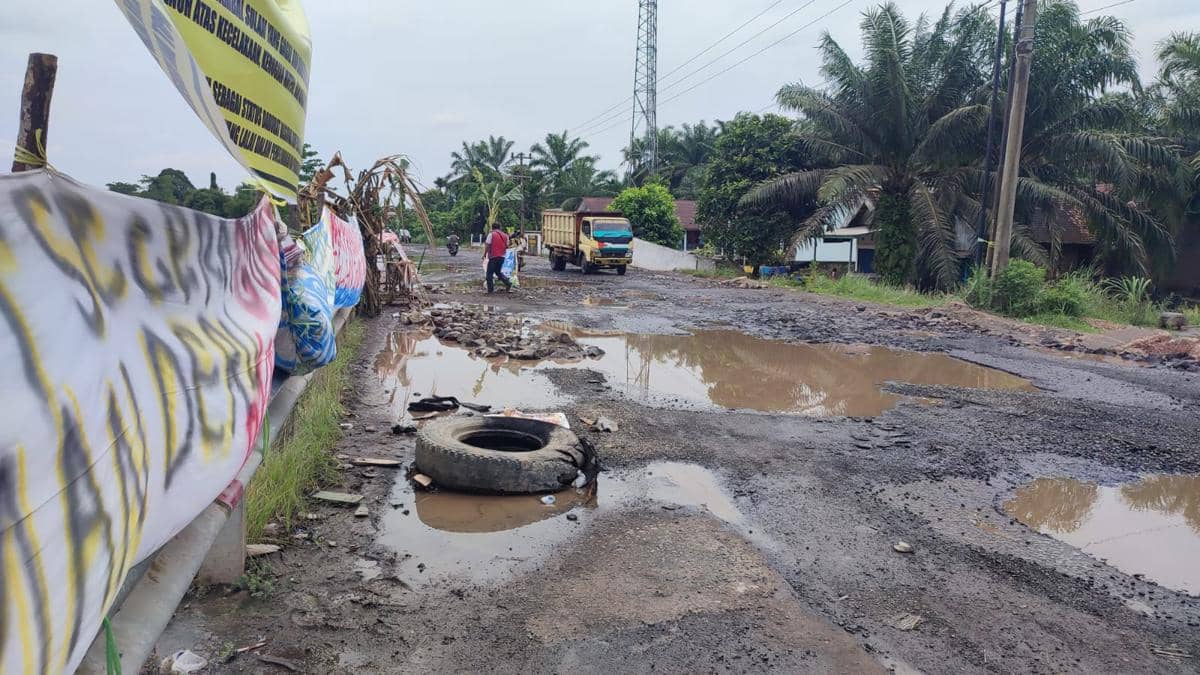 Kondisi Jalinsum Sekayu–Lubuk Linggau yang rusak parah. (Dok. IDN Times)