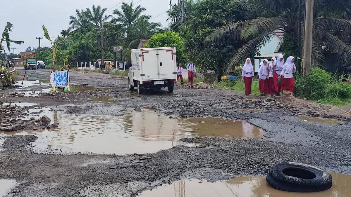 Kondisi Jalinsum Sekayu–Lubuk Linggau yang rusak parah. (Dok. IDN Times)
