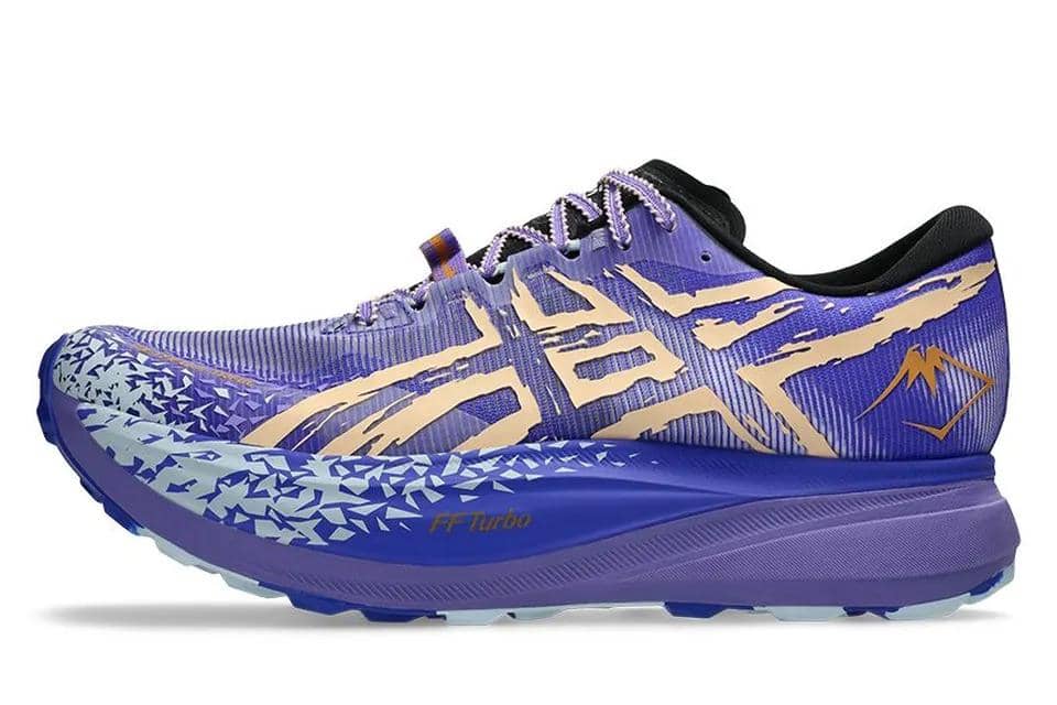 Asics Metafuji Trail Standard.