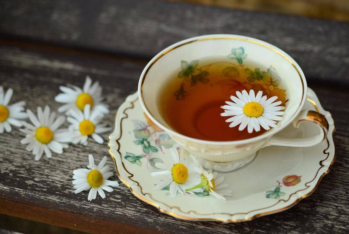 Teh chamomile