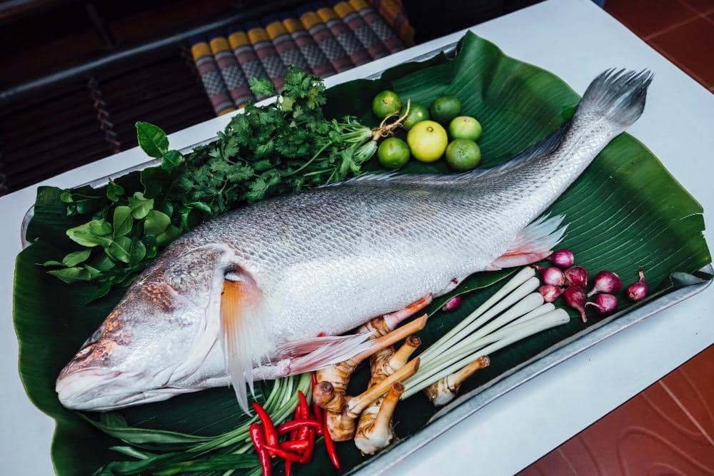 ilustrasi ikan segar dan aneka bumbu