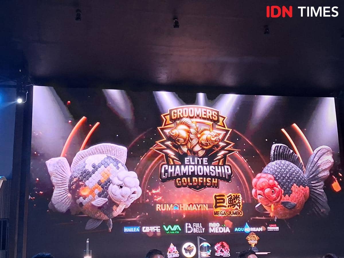 Ikan maskoki mendunia