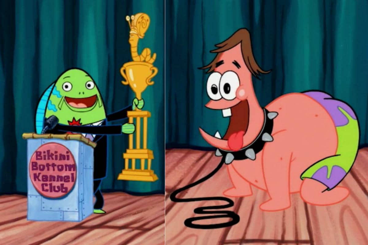 Patrick berhasil menang sebagai peliharaan paling menggemaskan