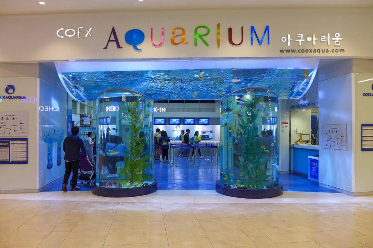 COEX Aquarium, Seoul: Lokasi, Harga Tiket Masuk, dan Tips Berwisata