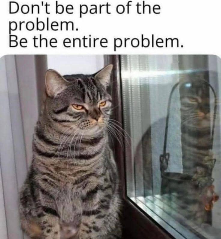 meme kucing tentang masalah
