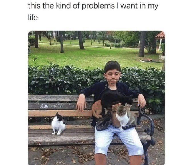 meme kucing tentang masalah