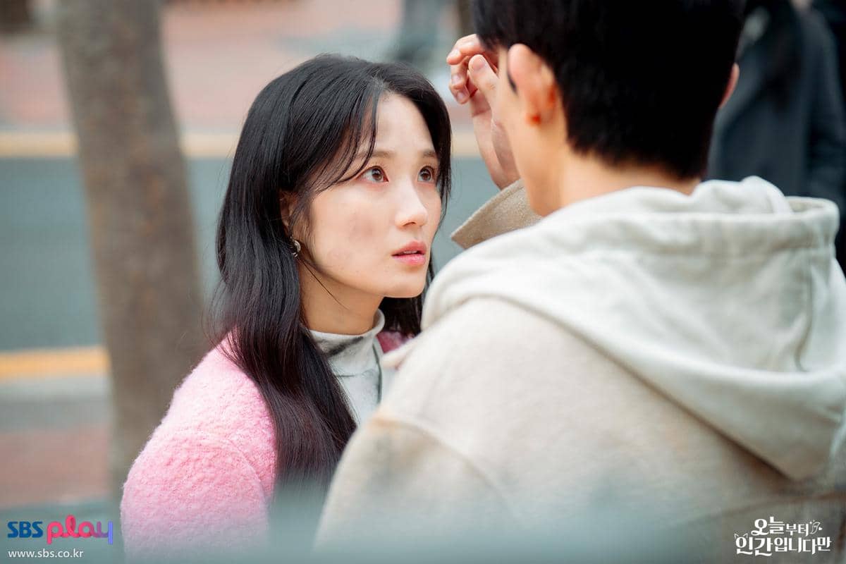 still cuts drama No Tail to Tell 