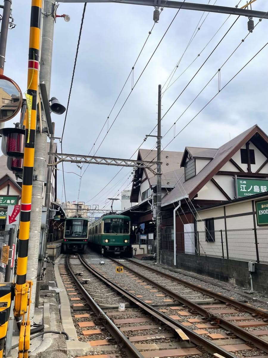 Ersa Mayori dan anak jalan-jalan di Kota Fujisawa