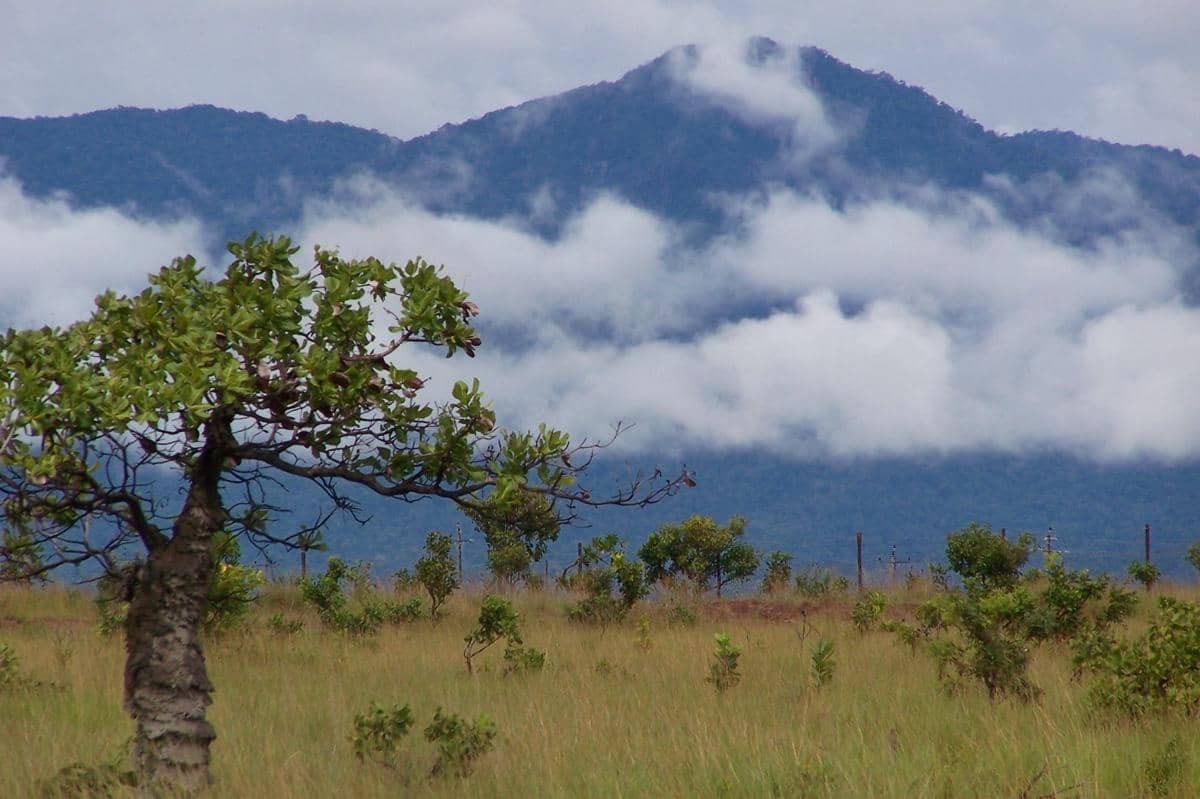Gunung Kanuku, Guyana