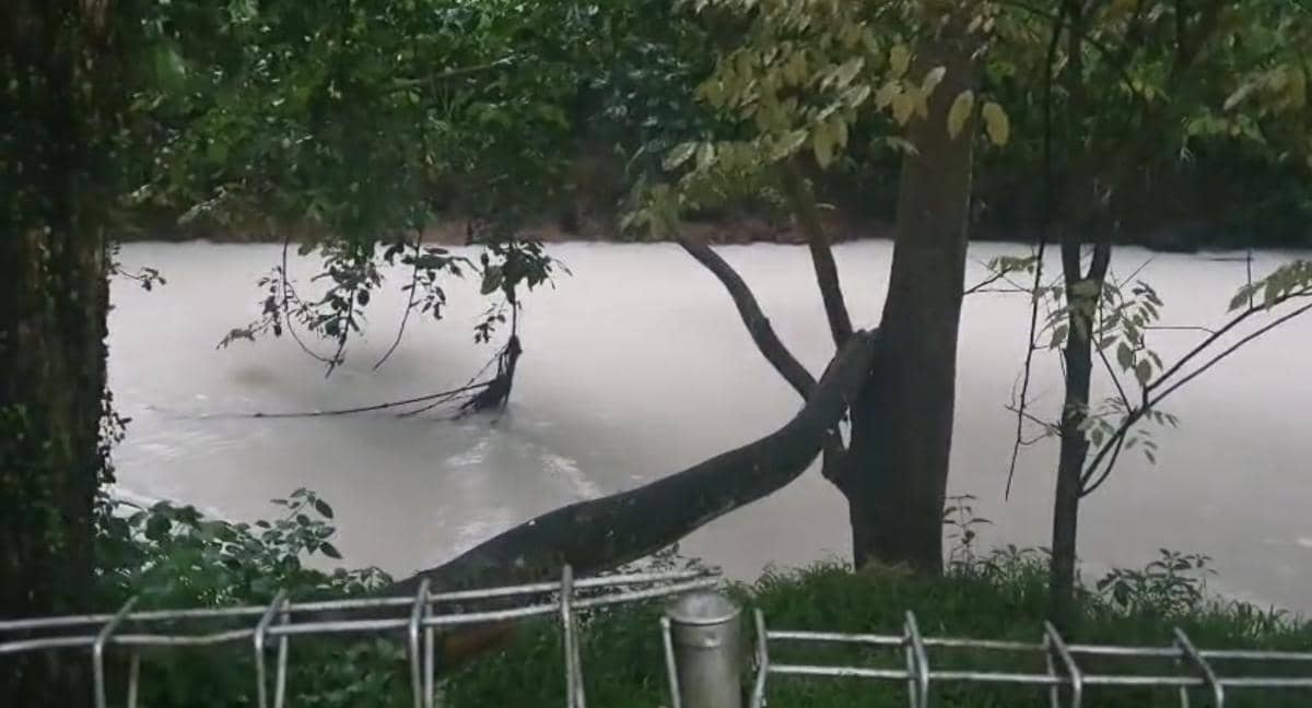 Kali di Serpong Memutih Usai Kebakaran Gudang Pestisida (Dok. IDN Times/warga)